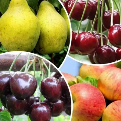 Комплект НАСЛАЖДЕНИЕ в Дзержинске