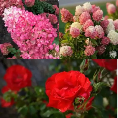 Комплект РОЗОВЫЙ ЗАКАТ в Дзержинске