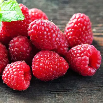 Малина ЭРИКА в Дзержинске