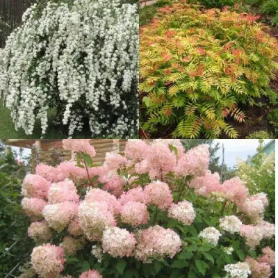 Комплект ФЕЙЕРВЕРК ЛЕТА в Дзержинске