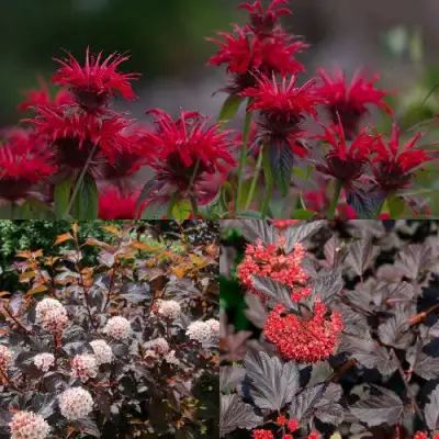 Комплект ОГНЕННЫЙ МИКС в Дзержинске