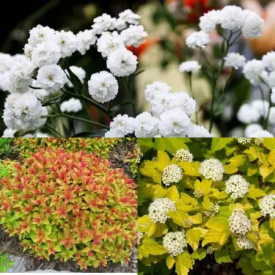 Комплект СОЛНЕЧНЫЙ МИКС в Дзержинске