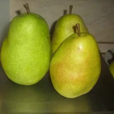 Груша БЕРЕ ЛЮКА в Дзержинске