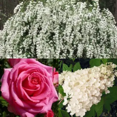 Комплект ВЕЧНАЯ КЛАССИКА в Дзержинске