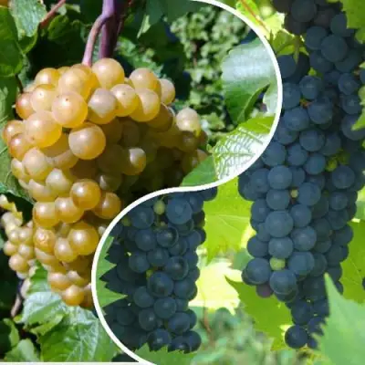 Комплект ИНЬ-ЯНЬ в Дзержинске