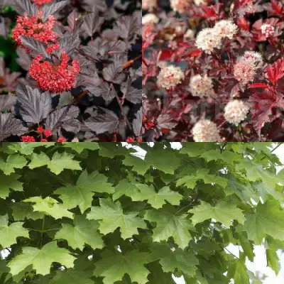 Комплект ОСЕННИЙ КОСТЕР в Дзержинске