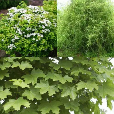 Комплект ЗЕЛЕНЫЙ ОАЗИС в Дзержинске