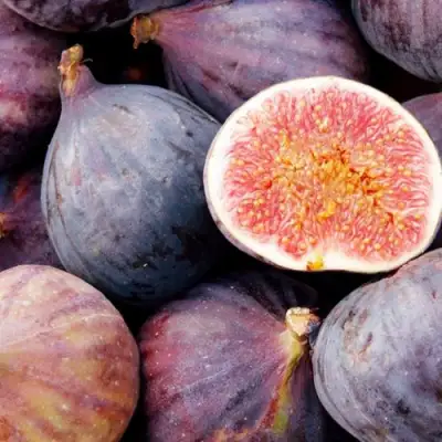 Инжир МУАССОН в Дзержинске