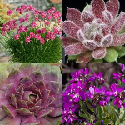 Комплект МИНИ САД в Дзержинске