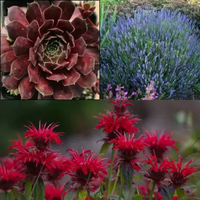 Комплект ФИОЛЕТОВОЕ ВДОХНОВЕНИЕ в Дзержинске