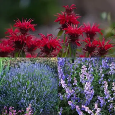 Комплект АРОМАТНЫЙ ЧАЙ в Дзержинске