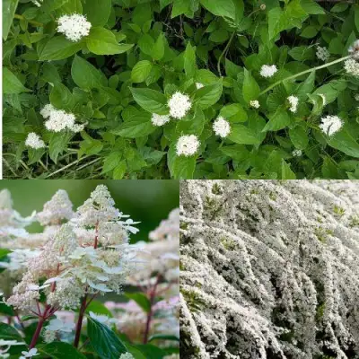 Комплект СКАНДИНАВСКИЙ СТИЛЬ в Дзержинске