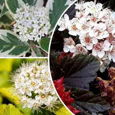 Комплект ЯРКАЯ ВСПЫШКА в Дзержинске