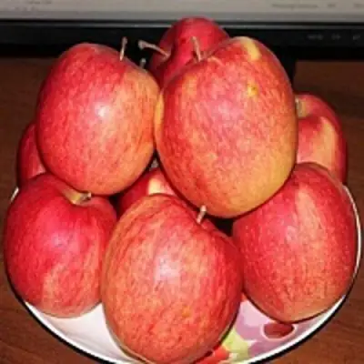 Яблоня ЛИГОЛ в Дзержинске