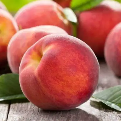 Персик МАЙСКИЙ ЦВЕТОК в Дзержинске