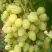 Виноград ЗАРНИЦА в Дзержинске