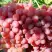 Виноград КИШМИШ КРАСНЫЙ в Дзержинске