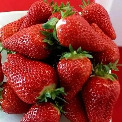 Клубника БРИЛЛА  Клубника БРИЛЛА в Дзержинске