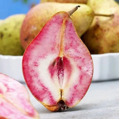 Груша БЛЮТБЕРН  Груша БЛЮТБЕРН в Дзержинске