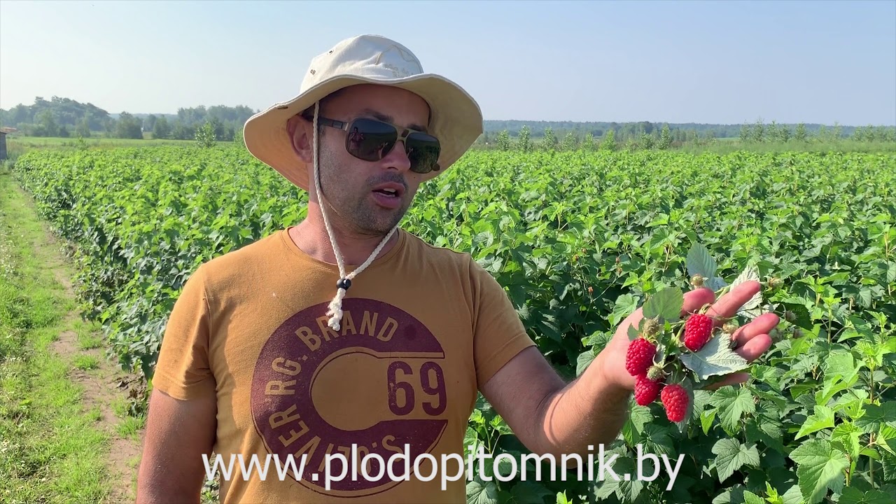 Превью видео