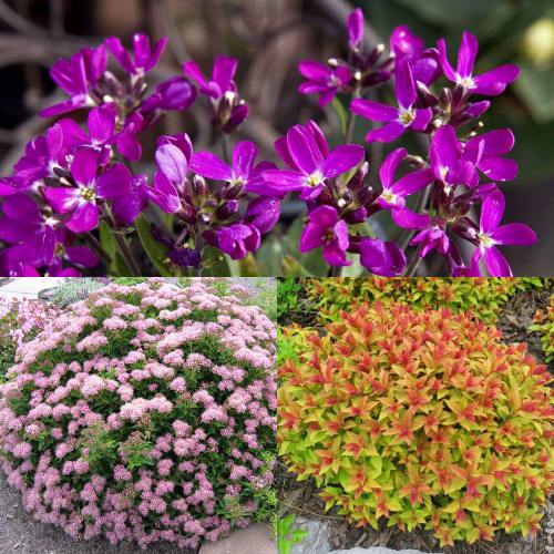 Комплект ЯПОНСКИЙ САД в Дзержинске