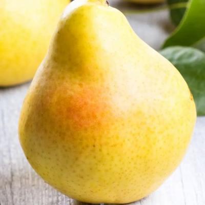 Желтая в Дзержинске