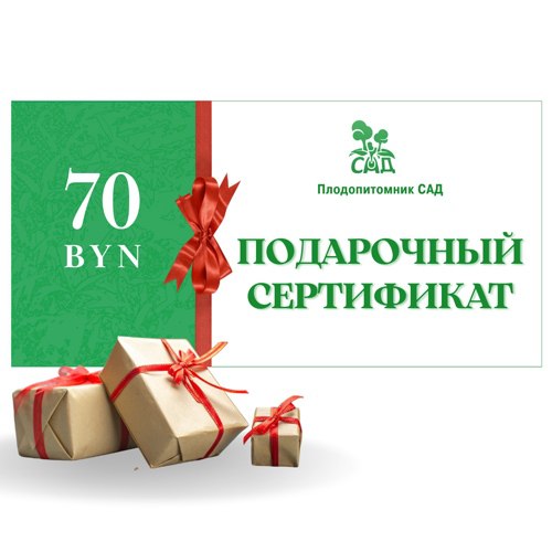 Подарочный сертификат на  70 BYN в Дзержинске