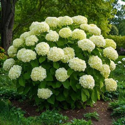 Большие (высокие) в Дзержинске