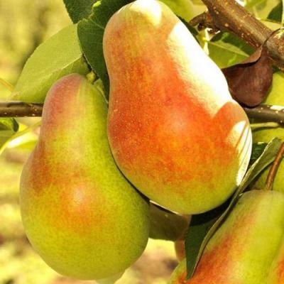 Красавица в Дзержинске