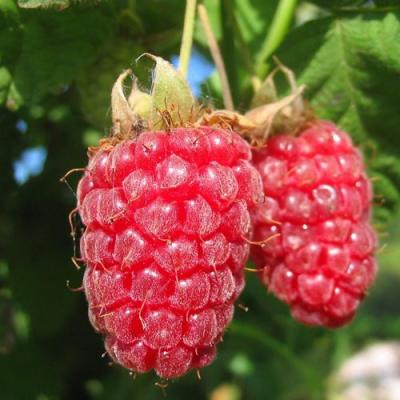 Крупная в Дзержинске