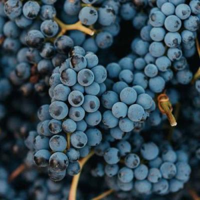 Технический в Дзержинске