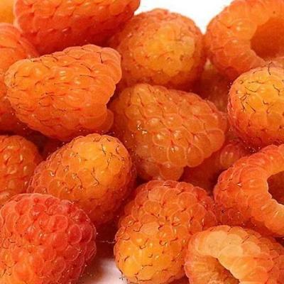 Оранжевая в Дзержинске