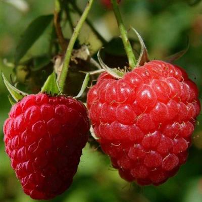 Кустовая в Дзержинске