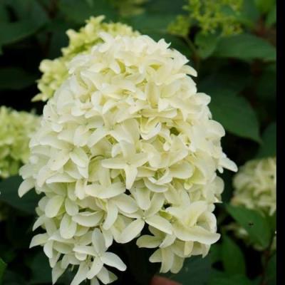 Средние в Дзержинске